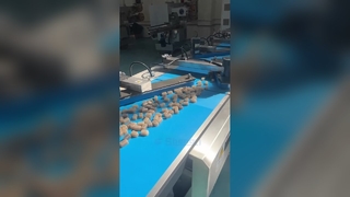 chocolate double twist packing machine plus sealing
